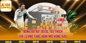 Bóng đá rất được yêu thích với lượng fans hâm mộ hùng hậu
