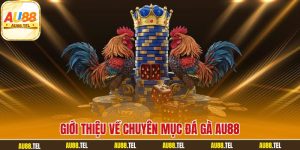 Giới thiệu về chuyên mục đá gà AU88